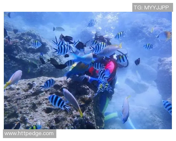 南京街舞队在马拉松大满贯中的成长与蜕变之路