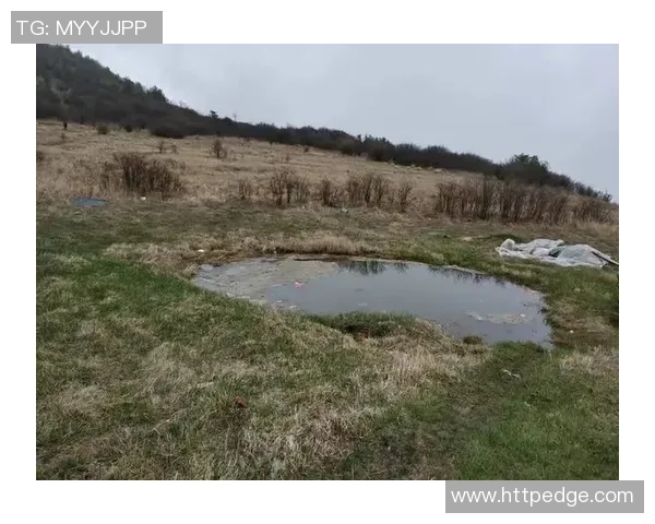 杭州攀岩队边路渗透技巧揭秘与深度分析